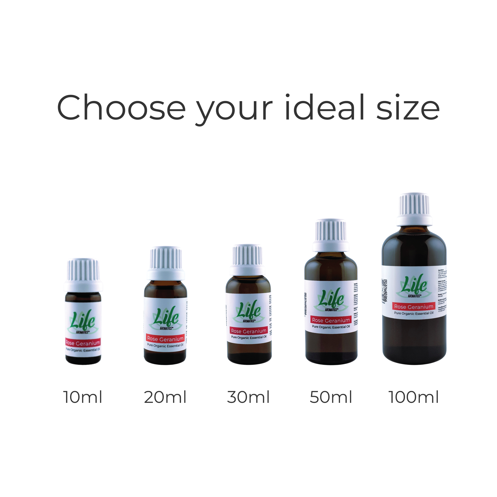 Rose Geranium Essential Oil (organic) - Image 4