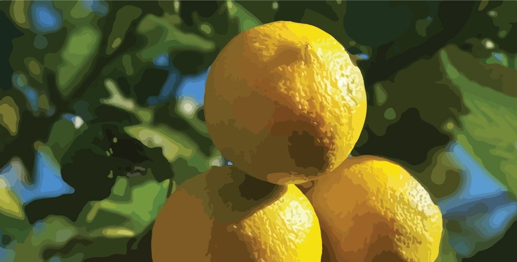 Bergamot-Essential-Oil-Complete-Guide