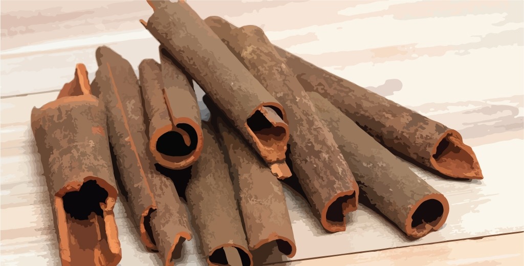 Cinnamon Bark Essential Oil: Complete Guide, Uses, Aromatherapeutic Benefits & Safe Application Guide