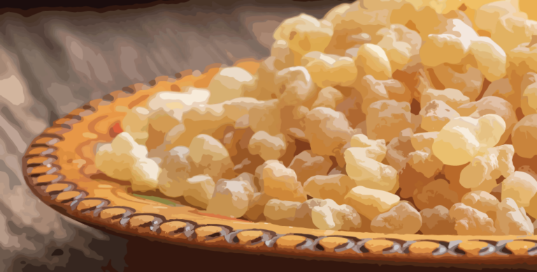 Read more about the article Frankincense Serrata vs Frankincense Carterii – Key Differences, Uses & Best Applications
